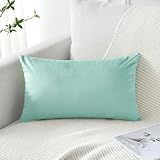 Artscope Fundas de almohada decorativas de terciopelo de lujo, fundas de almohada rectangulares suaves y sólidas para sofá, dormitorio, decoración de automóvil, 16 x 24 pulgadas, color verde