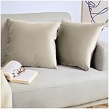 Blumtal Juego de 2 Fundas de Cojín de Terciopelo - Cojín Decorativo con Cremallera Oculta, Decoración para Hogar, Sofás, Camas, Taupe, 40 x 40 cm