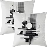 Gris Claro Fundas Cojines 50x50cm Juego de 2 Fundas de Cojines,Abstracto Extra Suave Terciopelo Funda Cojin decorativas con Cremallera Oculta Para Cama decoración Sofás Sala de Estar Dormitorio-2587