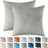 Ystyle Funda Cojin 60x60 de Terciopelo Juego de 2 Funda de Almohada del Sofá Decorativas con Cremallera Invisible Suave y Lavable Antiácaros Transpirable Hipoalergénico para Cama, Gris