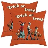 Juego de 2 fundas de almohada de Halloween, diseño de esqueleto naranja y bruja, fundas de cojín decorativas de estilo rústico para el hogar, sofá, cama, 18 x 18 pulgadas