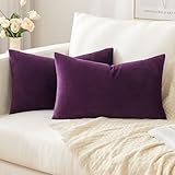 Slozzi 2 Piezas Fundas de Cojín de Terciopelo Decorativas 30x50 cm Fundas para Caso de Almohada Cuadradas Suaves para Sofá Dormitorio con Cremallera Invisible Morado