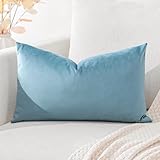 Artscope Fundas de Cojines de Terciopelo Decorativas Cuadradas Color Solido 30x50cm para Decoración del Hogar Sofá Dormitorio Coche Azul Claro