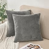 AMFUN Lujo Terciopelo Suave Funda, 2 Piezas Gris Fundas Cojines Sofa Juego, 45 * 45CM Cojín Cuadrado Manta Funda de Almohada, con Cremallera Invisible Tejido Suave, para Sofá Dormitorio