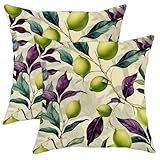 Juego de 2 fundas de almohada de limón con hojas tropicales botánicas, ramas de verano, terciopelo suave, lavable, cuadradas, para sala de estar, cama, oficina, sofá, silla, decoración, 18 x 18