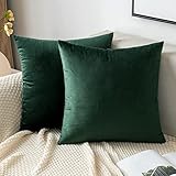 EMEMA Funda de Cojine Terciopelo Funda de Almohada del Sofá Throw Cojín 40x40 cm Decoración Almohada Caso de la Cubierta Decorativo para Sala de Estar Pulgadas 2 Pieza Verde Oscuro