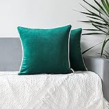 Merrycolor Juego de 2 fundas de almohada de terciopelo suave, 45,7 x 45,7 cm, cuadradas, decorativas, fundas de cojín para sofá, hogar, granja, color verde azulado