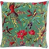 Riva Paoletti Paradise Plaza Cojín Aqua Blue Pájaro Colorido Imprimir Terciopelo Tela Lavable A Máquina 100% Algodón 50 X 50Cm Pulgadas, Agua, 50 x 50 cm (20' x 20')